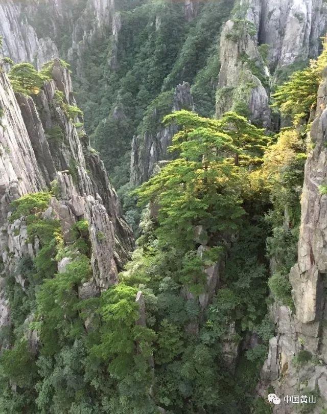 主公莫慌